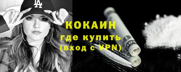 сатива Пересвет