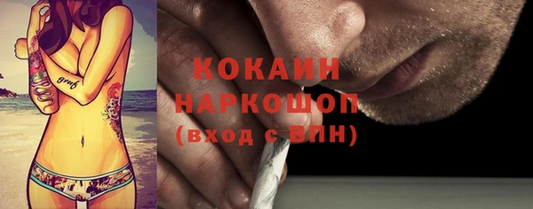 сатива Пересвет