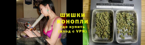 крисы Щёлкино
