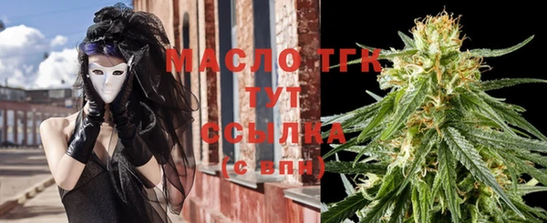 сатива Пересвет