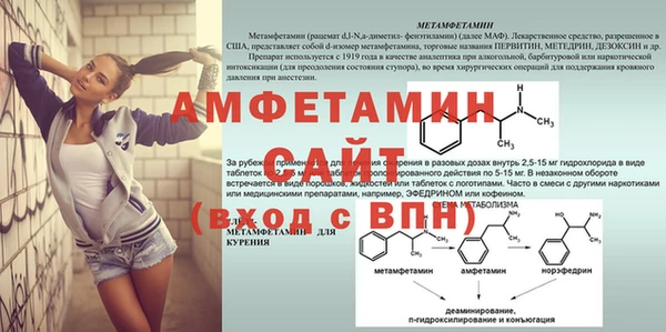 сатива Пересвет
