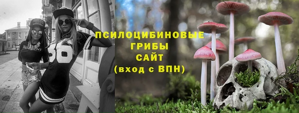 ECSTASY Тольятти