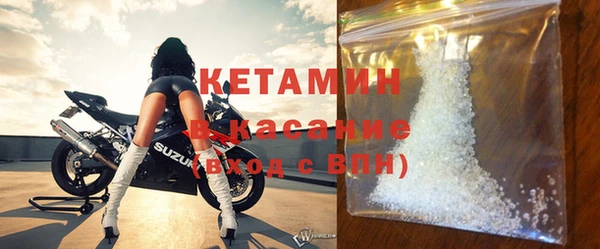 сатива Пересвет