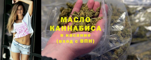 сатива Пересвет