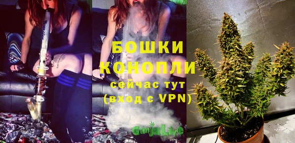 сатива Пересвет