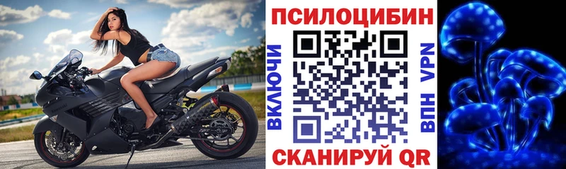Галлюциногенные грибы GOLDEN TEACHER  дарнет шоп  Губаха 