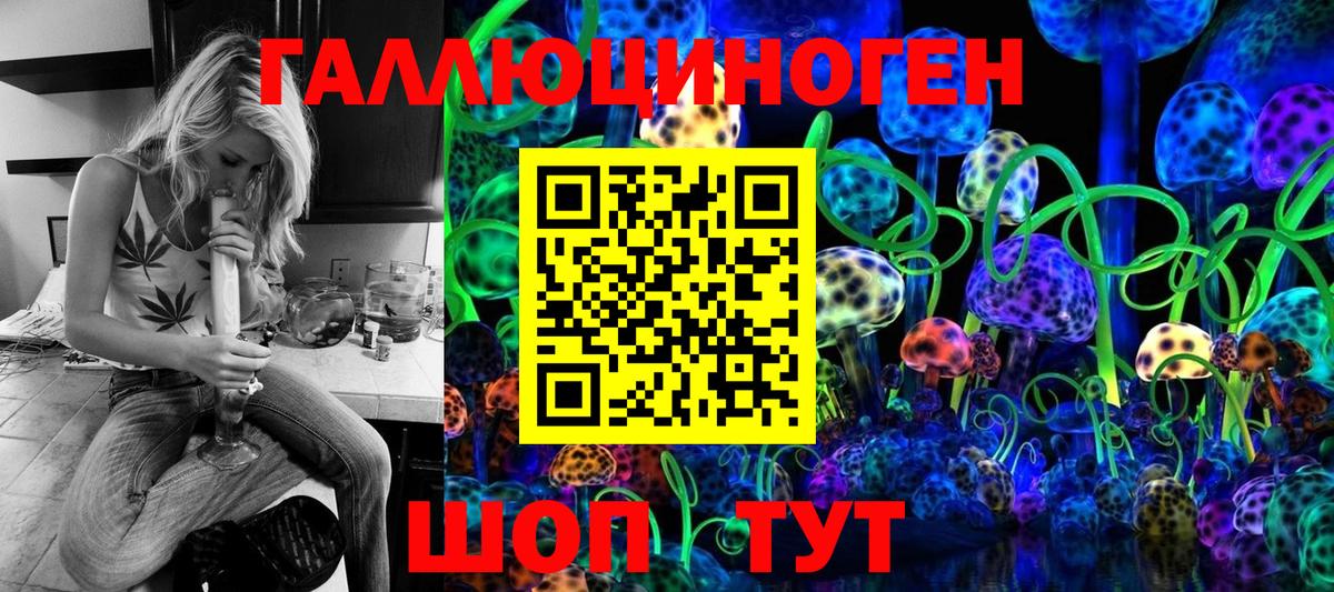 Галлюциногенные грибы Psilocybine cubensis  Псилоцибиновые грибы GOLDEN TEACHER  Вход с VPN  Губаха 