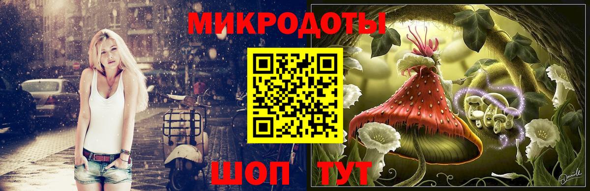 Псилоцибиновые грибы GOLDEN TEACHER  Губаха 