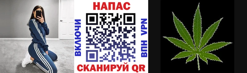 блэк спрут ссылки  Губаха  Конопля OG Kush 